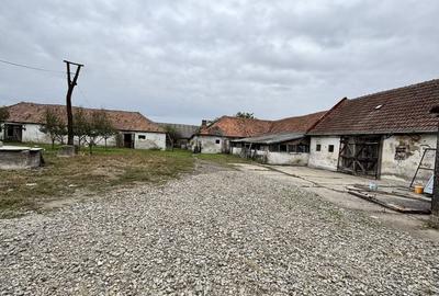 Casă cu 4 camere în Petin - 1