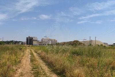 TEREN CARTIER ALBERT//INTRAVILAN TEREN CARTIER ALBERT//INTRAVILAN - 3