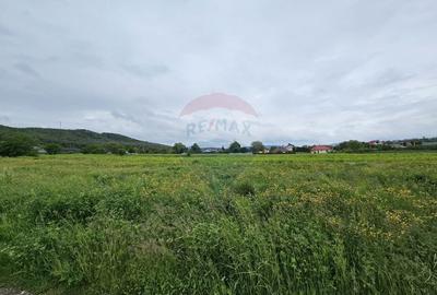 Teren Construcții intravilan de 1495 mp, în Dobreni - 13