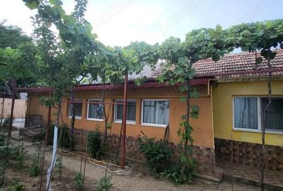Casă cu 4 camere în Coiciu - 9