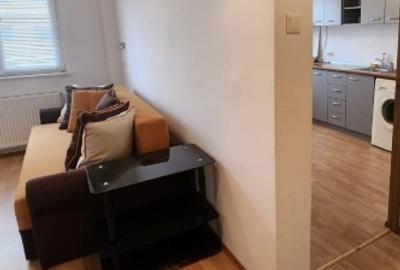 Garsonieră decomandată în Triaj - 4