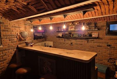 Str Lunga, zona Mielul Alb, spatiu comercial de 82mp tip crama, 129900 euro - 14