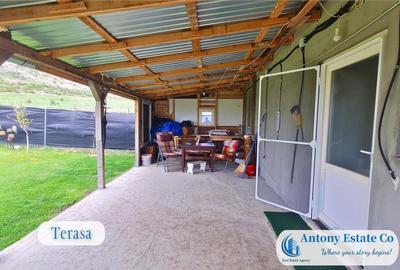 Green Field - casa de , 10 KM de Oradea, Betfia, Bihor - 11