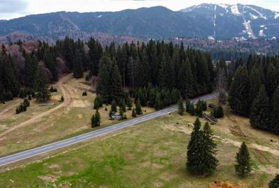 Teren cu potential:1.000 mp,proiect turistic rezidential,Poi - 15