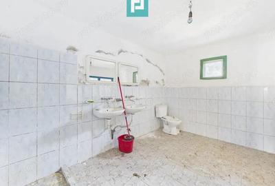 Cladire cu 5 camere cu teren ?i hala in Cenad - 19