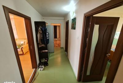 Apartament cu 5 camere decomandat în Micălaca - 17