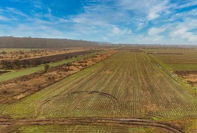 Teren Construcții intravilan de 5040 mp, în Săbăreni - 5