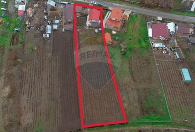 Casă individuală cu 2 camere cu Teren 2093 Mp în Costuleni - 11