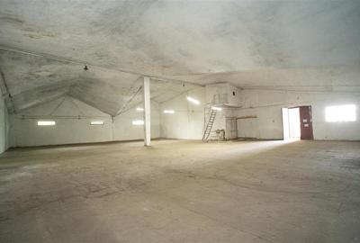 Spațiu comercial, de 1,156 mp, în Vest - 3