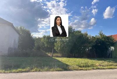 Teren de 1060 mp, în Darova - 9