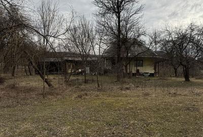 Casă cu 2 camere în Petrova - 4