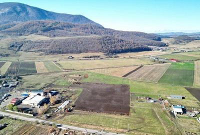 Teren Industrial cu P.U.Z. - 6