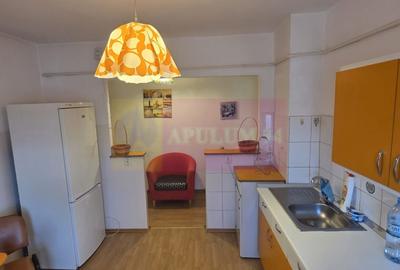 Apartament cu 2 camere semidecomandat în Turnătorie - 4