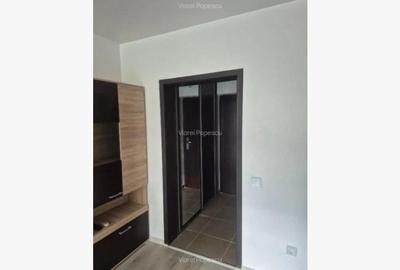 Berceni-Turnu Magurele Garsoniera amenajata Berceni-Turnu Magurele Garsoniera amenajata - 7