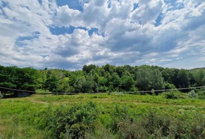 Spațiu comercial, în Slănic - 5