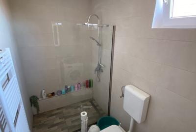 De vanzare casa in zona Gara Mica - 8