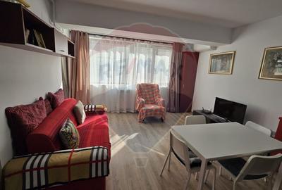 Apartament cu 3 camere semidecomandat, mobilat în Snagov - 5