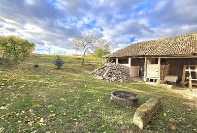 CASA 3 CAMERE + LIVING | 1790 MP TEREN | SAT RAPA | BIHOR - 27