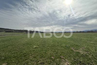 Teren 23.486 mp, deschidere 80 m, ideal comercial/industrial - 1