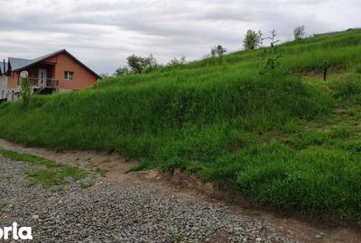 Teren de 2506 mp, în Baciu