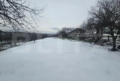 Casă cu 5 camere cu Teren 1850 Mp în Central - 3