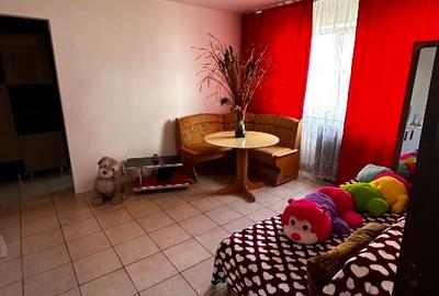 Apartament cu 2 camere semidecomandat în Gojdu - 2