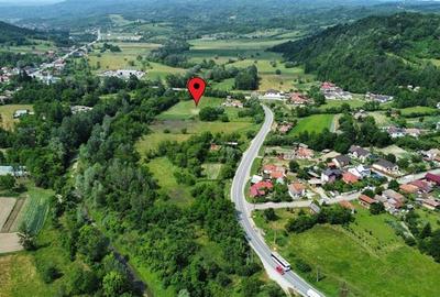 Teren Construcții intravilan de 10176 mp, în Mihăești - 4