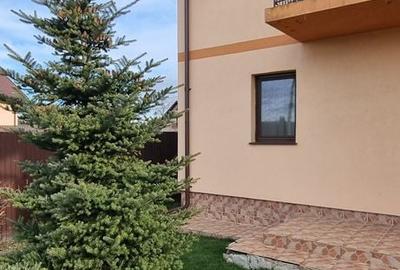 Casă cu 5 camere cu Teren 830 Mp în Mihai Eminescu - 5
