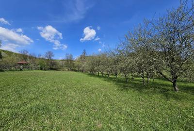Casă cu 4 camere în Central - 4