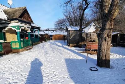 Casă cu Teren 12200 Mp în Central - 3