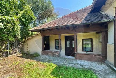 Casa boiereasca cu istorie, teren generos ?i ie?ire la Raul Targului - 11