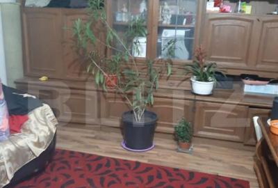 De vanzare casa 99 mp, teren 7,5 ari in Lazuri, Satu Mar - 3