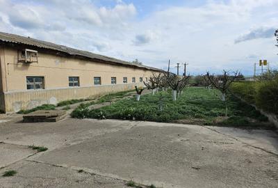 Spațiu comercial, în Medgidia - 6