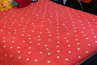 Apartament cu 2 camere decomandat în Central - 8