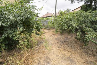 Spatiu birouri central, demisol casa+parter optional-zona Piata Mare - 20