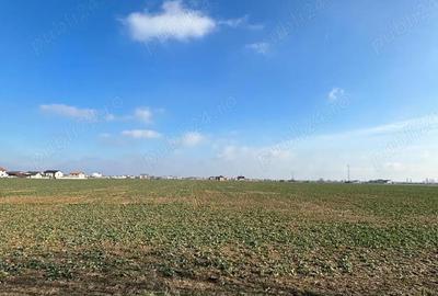 Teren de 500 mp, în Giroc - 2