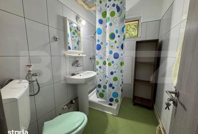 Apartament cu 2 camere semidecomandat în Brazda lui Novac - 7
