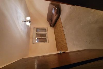 Vand casa in serbia jasa tomic - 9