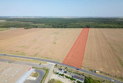 Teren Vanzare Intravilan Branesti investitie Zona Industrial - 29