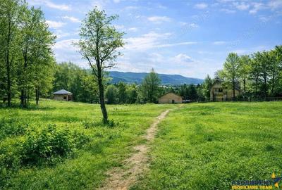 Teren de 550 mp, în Tohănița - 7