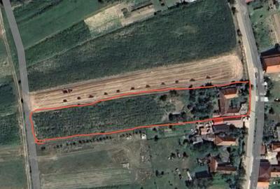 Casă cu 3 camere în Lugașu de Jos - 2