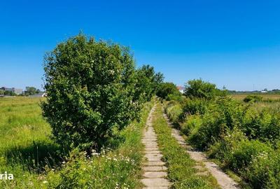Spațiu comercial, în Clinceni - 14