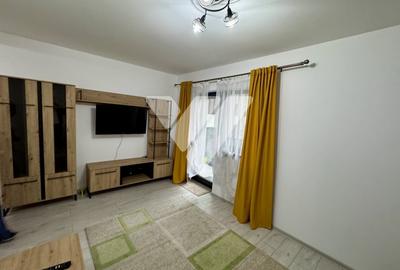 Apartament 2 camere mobilat terasa gradina si parcare - Doamna Stanca - 1