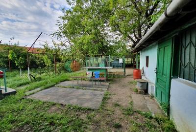 Casă cu 4 camere cu Teren 2038 Mp în Cujmir - 13