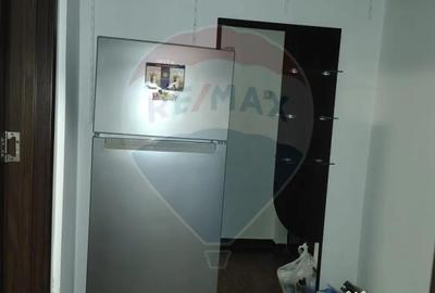 Garsonieră în Brazda lui Novac