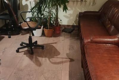 Spatiu comercial de inchiriat - 2