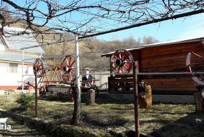 Casă cu 4 camere în Plopu - 6