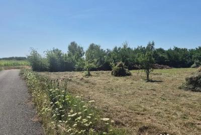 Teren de 3000 mp, în Merișor