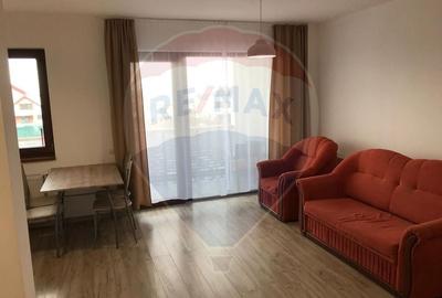 Apartament cu 2 camere de inchiriat in zona Europa - 4
