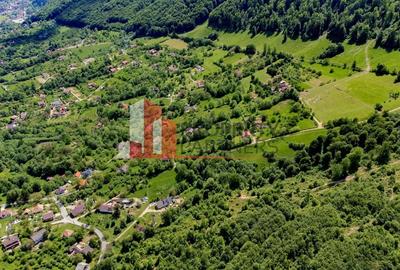 Teren cu livada Bran/ Predelut - 12